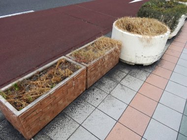 Kurumuş bitkileri ve toprağı gösteren boş ekiciler kaldırımın kenarında oturuyor.