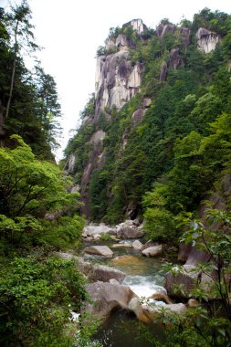 Ormanda güzel bir şelale