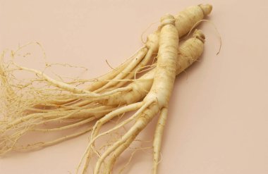 Bej arkaplanda duran bütün ginseng kökleri taze