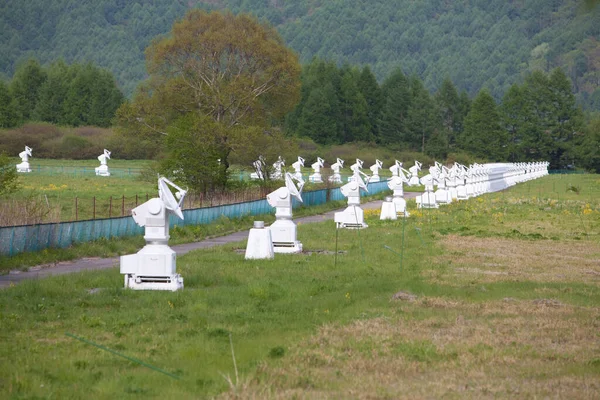 Beyaz Uydu Çanakları Parkta Oturuyor — Stok fotoğraf