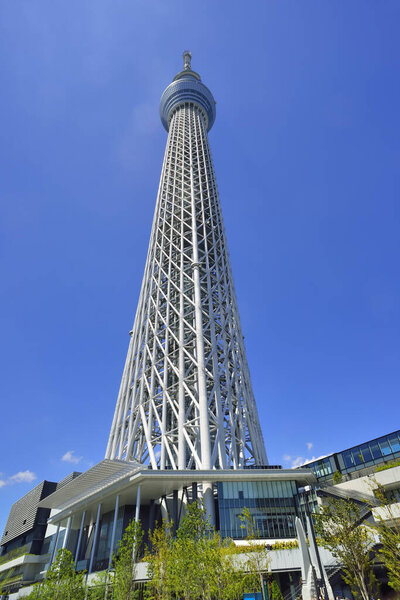 Tokyo Sky Tree, the tallest building in Japan