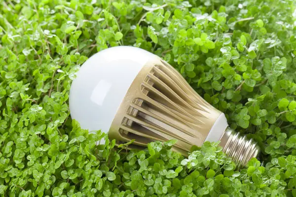 Arka plandaki çimenlikteki ampulü kapat.