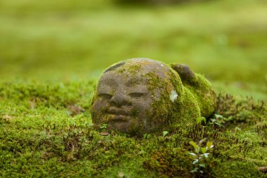 Bahçede Tanrı 'nın yüzünü taşıyan yosunlu taş, yaklaş