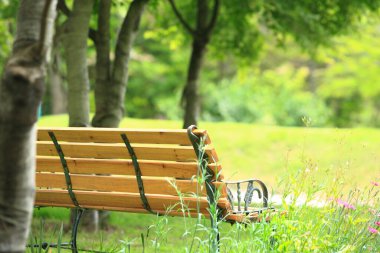 Parktaki ahşap bank.