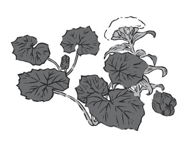 Yapraklı ve çiçekli el çizimi bitkiler