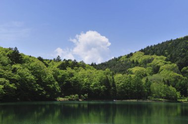 Sakin gölü ve yeşil ormanı olan tepeleri olan güzel bir manzara.      