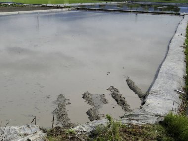 Büyük dikdörtgen göleti kaplayan çamurlu su ve plastik astar görünür.