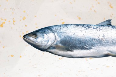 Taze çiğ balık beyaz masaya konur.