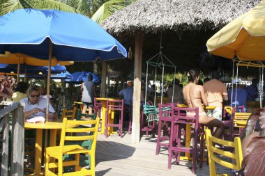 Tropikal bir tatil köyünde sandalyede oturan bir grup genç.