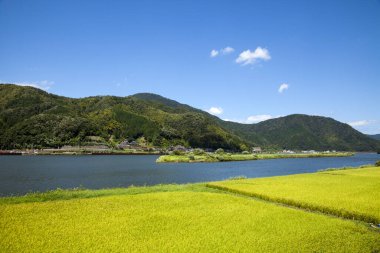Göl manzarası ve yeşil dağlar 