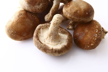 Beyaz arkaplanda çiğ shiitake mantarları
