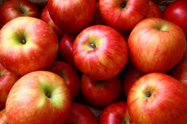 Taze kırmızı elmalar, yakın görünüm