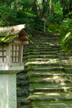 Japon bahçesindeki eski taş merdiven doğa arka planında.