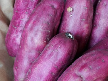 Yakından bakınca birkaç taze mor tatlı patates görünüyor.