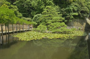 Japon bahçe gölet ile