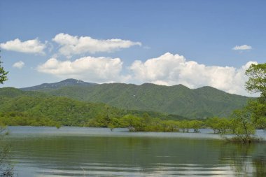 Yeşil ormanlı güzel göl manzaralı dağlar. 