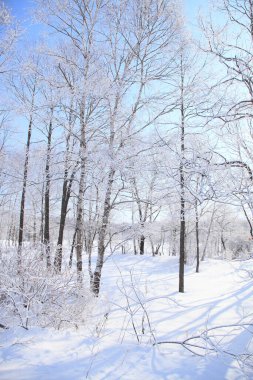 Arkaplan için güzel karlı manzaranın manzaralı görüntüsü