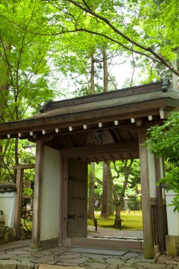 Japanese garden at daytime