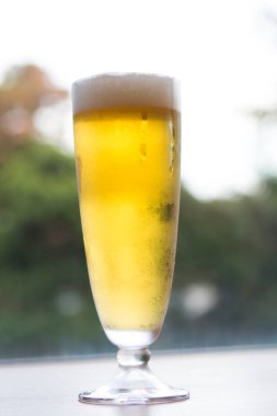 Masada köpüklü bir bardak bira.