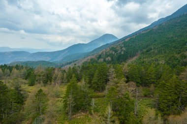 Arkaplan için güzel yeşil tepelerin manzaralı görüntüleri