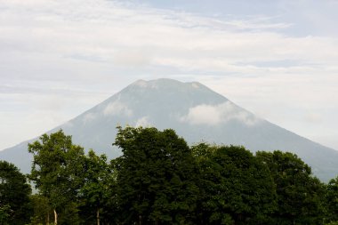 yeşil ağaçlar ve dağlar ile güzel manzara