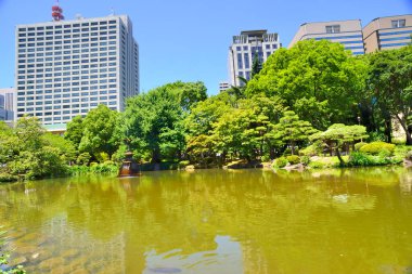 Gündüz vakti Tokyo Şehir Parkı 