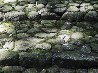 Parktaki yolda taş merdiven dokusunun yakın görüntüsü