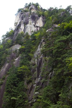 Ormanda güzel bir şelale