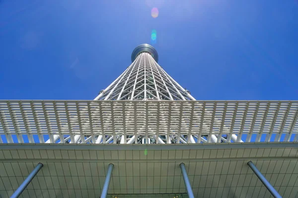 東京スカイツリー 日本一高いビル — ストック写真