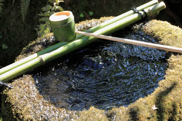 Bambu çeşmesi, kapat. 
