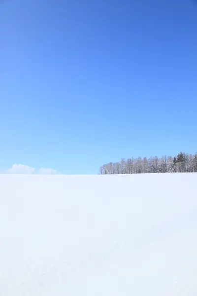 Campo Cubierto Nieve Cielo Azul —  Fotos de Stock