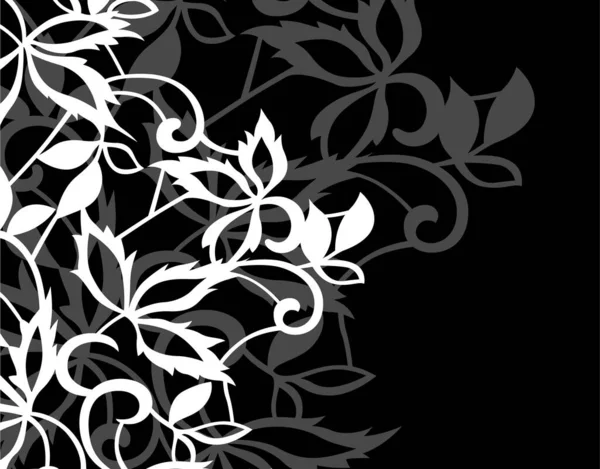 白い花が付いているシームレスな黒および白い背景 — ストック写真
