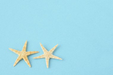 Mavi arka planda deniz yıldızları, deniz konsepti      