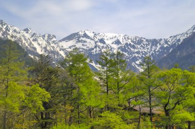 beautiful landscape with mountains with trees 