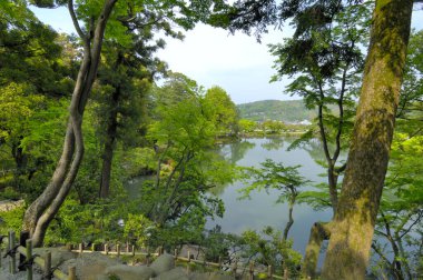 Parkın arka planındaki gölün manzarası.
