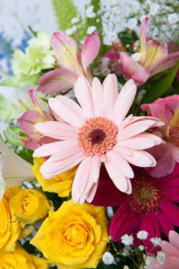 Bir buket parlak çiçek, stüdyo çekimi. 