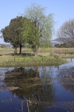 Tarlada bir nehir manzarası 