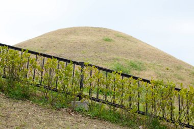 Dağlardaki eski yeşil pirinç tarlası..