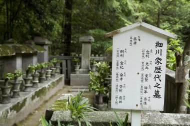 Parktaki eski taş mezarlığın manzarası