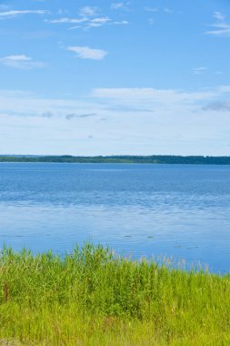 Arkasında yeşil orman olan bir göl. 