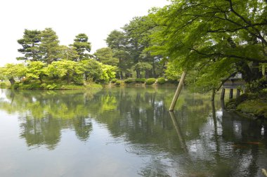 Parktaki gölet, Japon bahçesi.