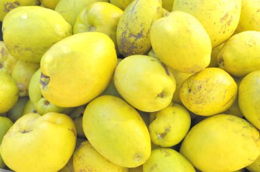 taze yeşil mango meyve