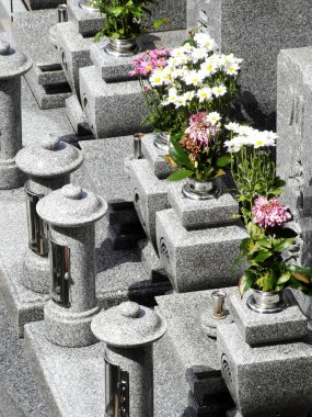 Mezarlıktaki çiçeklerin çeşitliliği