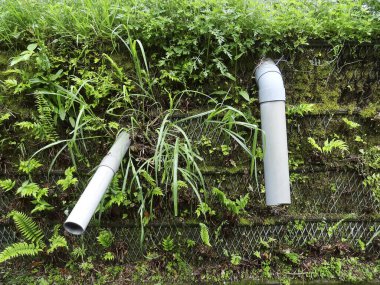 Yeşil çimen duvarından sarkan iki beyaz drenaj borusu.