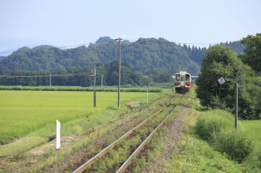 Tren yeşil alanda hareket ediyor.