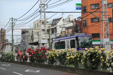 Japonya 'daki tren istasyonunda güzel gül çiçekleri yetişiyor. 