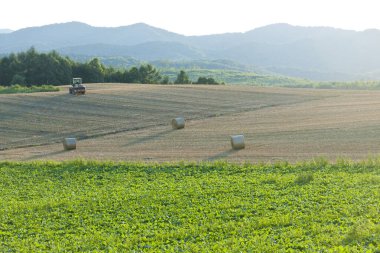 Yeşil alan ve doğa arka planında güzel bulutlar
