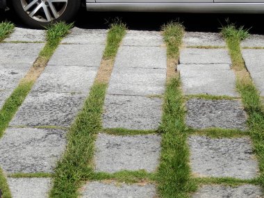 Park halindeki bir arabanın yanındaki modern şehir ortamında taş kaldırımlarda yeşil çimenler büyüyor.