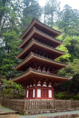 Yeşillik ve uzun ağaçlarla çevrili bir ormanda yuva yapmış beş katlı güzel bir tapınak.