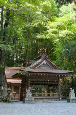 Güzel Japon tapınağı manzarası, Budizm konsepti